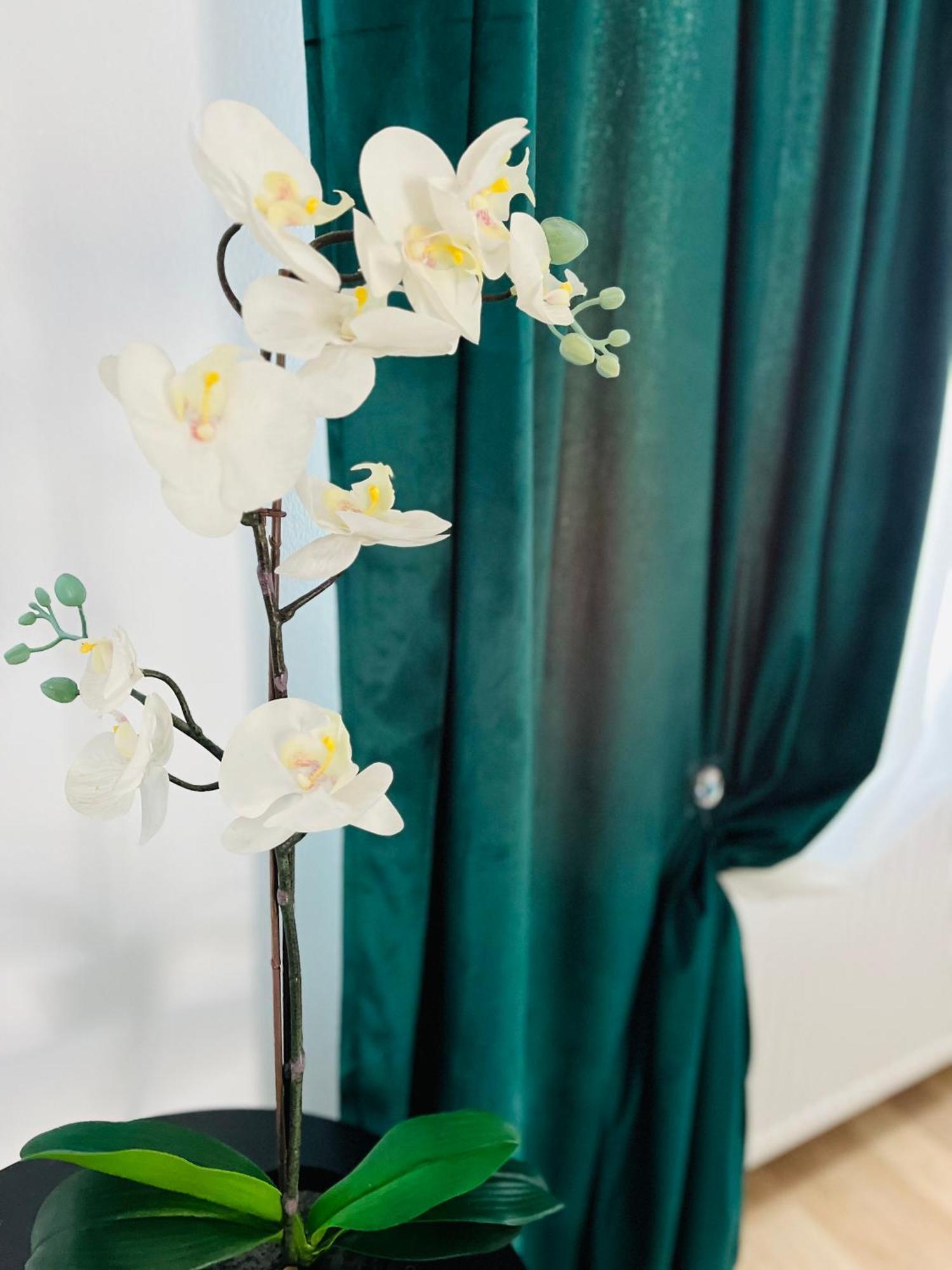 Apartamenty Przy Muzeum グダニスク エクステリア 写真