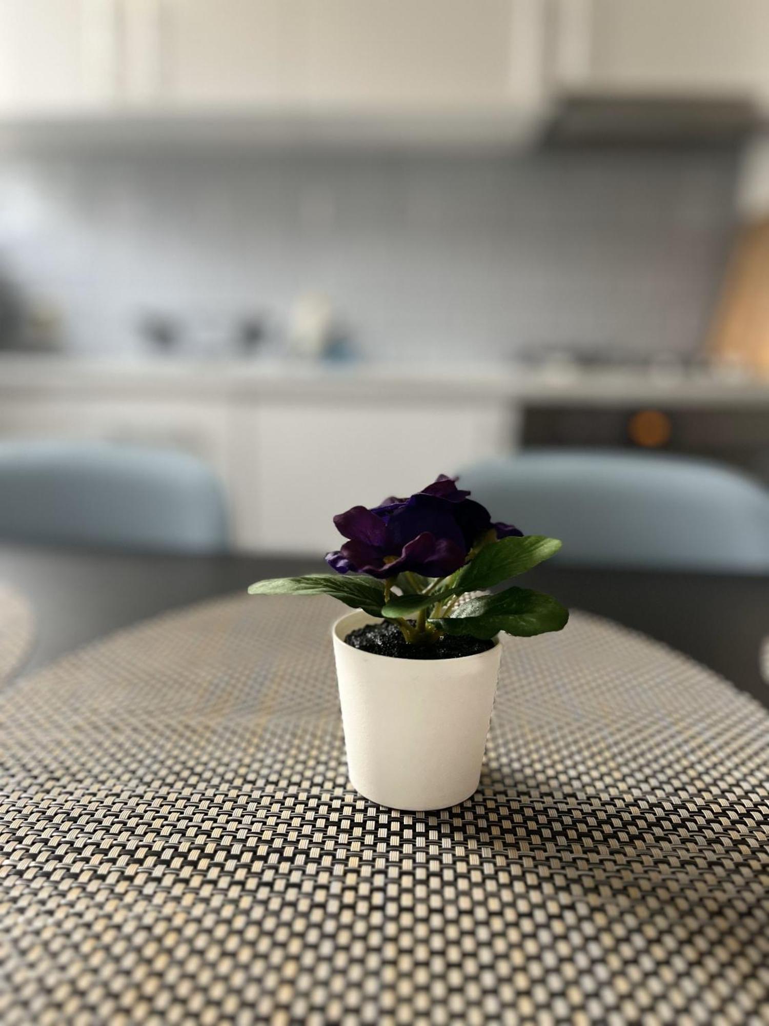 Apartamenty Przy Muzeum グダニスク エクステリア 写真